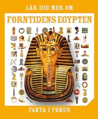 e-Bok Fakta i fokus. Lär dig mer om forntidens Egypten