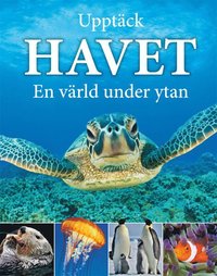 e-Bok Upptäck havet  en värld under ytan