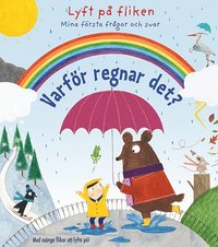 e-Bok Mina första frågor och svar Varför regnar det?