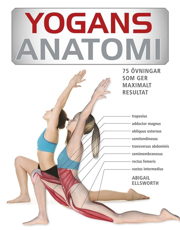 Abigail Ellsworth - Yogans anatomi : 75 övningar som ger maximalt resultat, E-bok