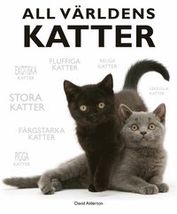 e-Bok All världens katter <br />                        E bok