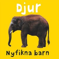 e-Bok Nyfikna barn. Djur