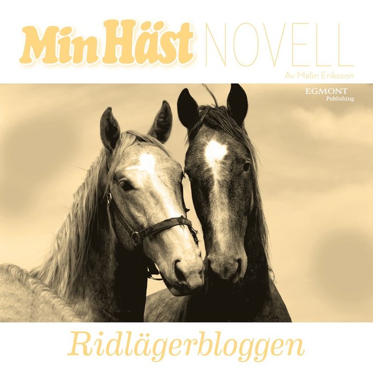Malin Eriksson - Ridlägerbloggen, Ljudbok
