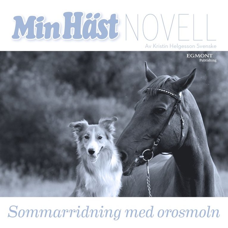 Kristin Helgesson Svenske - Sommarridning med orosmoln, Ljudbok