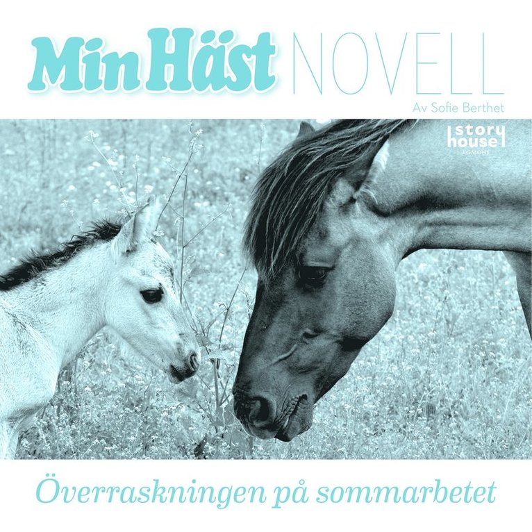 Sofie Berthet - Överraskningen på sommarbetet, Ljudbok