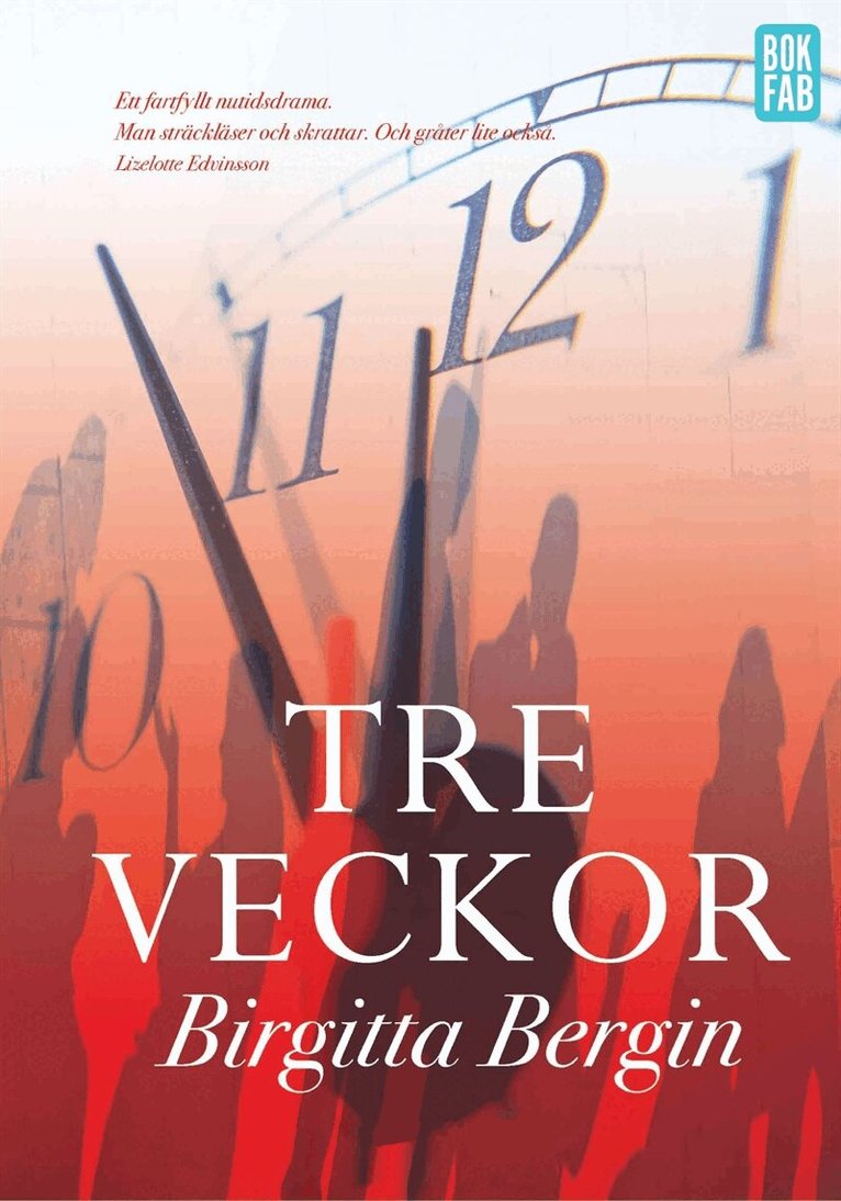 Birgitta Bergin - Tre veckor, E-bok