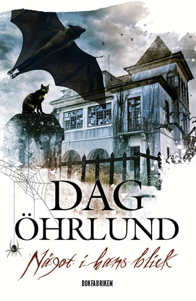 Dag Öhrlund - Något i hans blick, E-bok