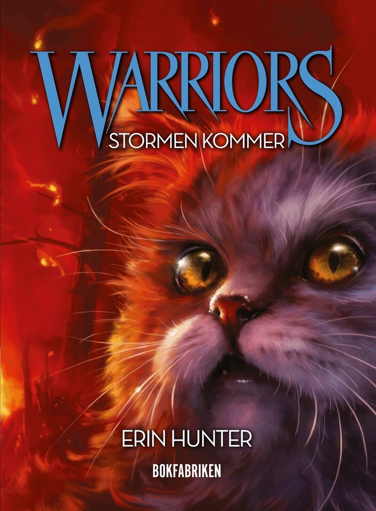 Erin Hunter - Warriors. Stormen kommer, E-bok