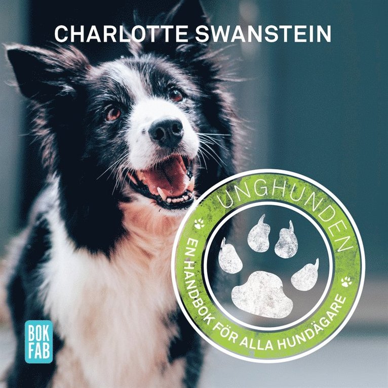 Charlotte Swanstein - Unghunden, Ljudbok