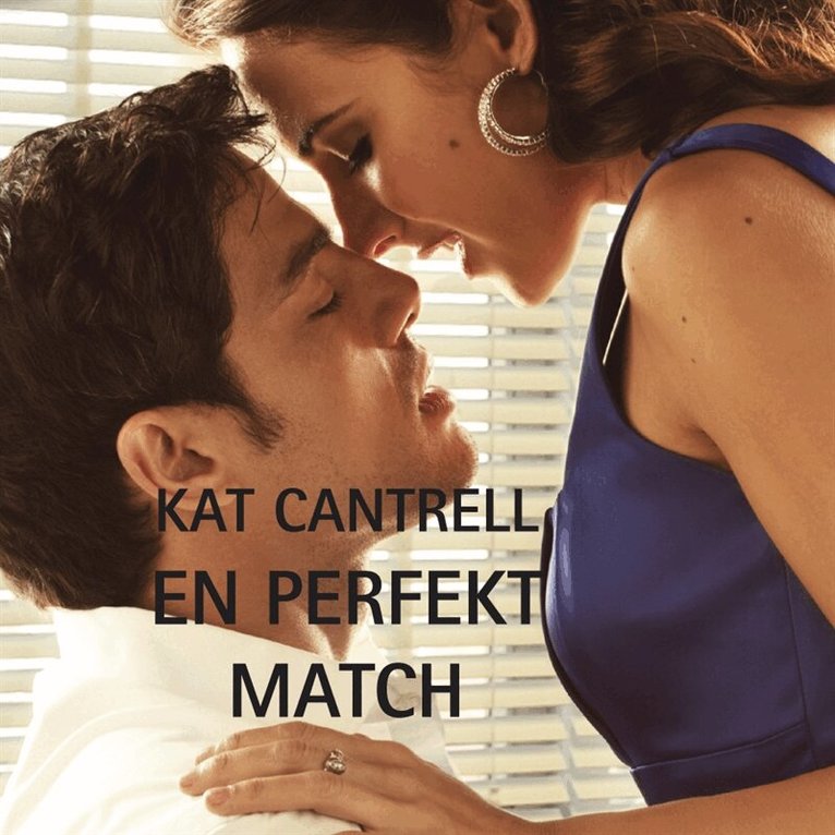 Kat Cantrell - En perfekt match, Ljudbok