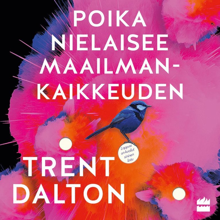 Trent Dalton - Poika nielaisee maailmankaikkeuden, Ljudbok