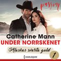 Under norrskenet