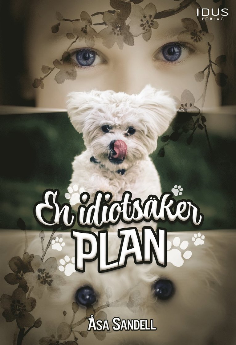 Åsa Sandell - En idiotsäker plan, E-bok