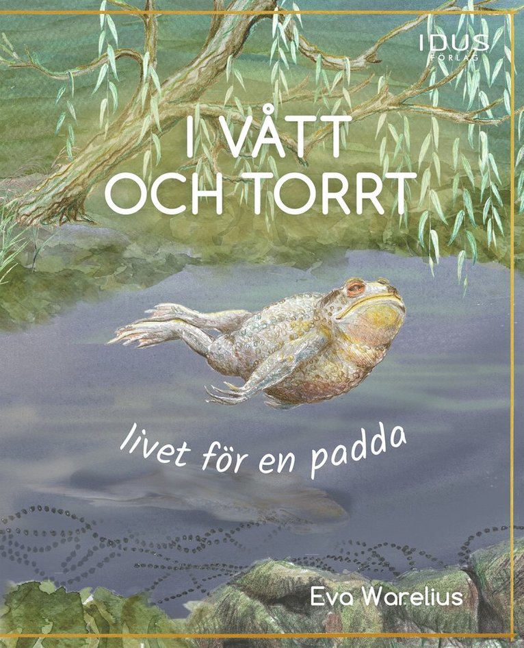 Eva Warelius - I vått och torrt : livet för en padda, E-bok