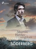 Martin Bircks ungdom