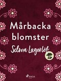 Mrbackablomster