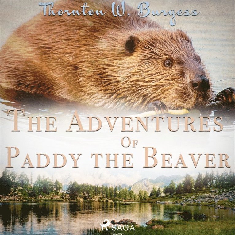 Thornton W. Burgess - The Adventures of Paddy the Beaver, Ljudbok