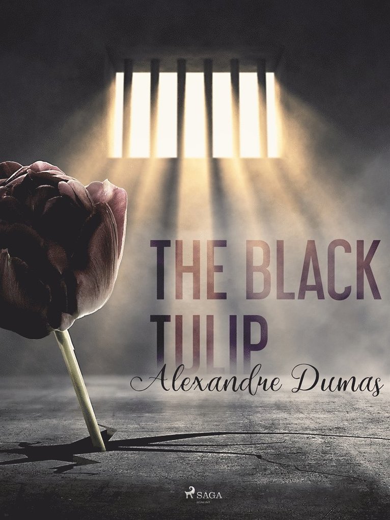 Alexandre Dumas - The Black Tulip, E-bok