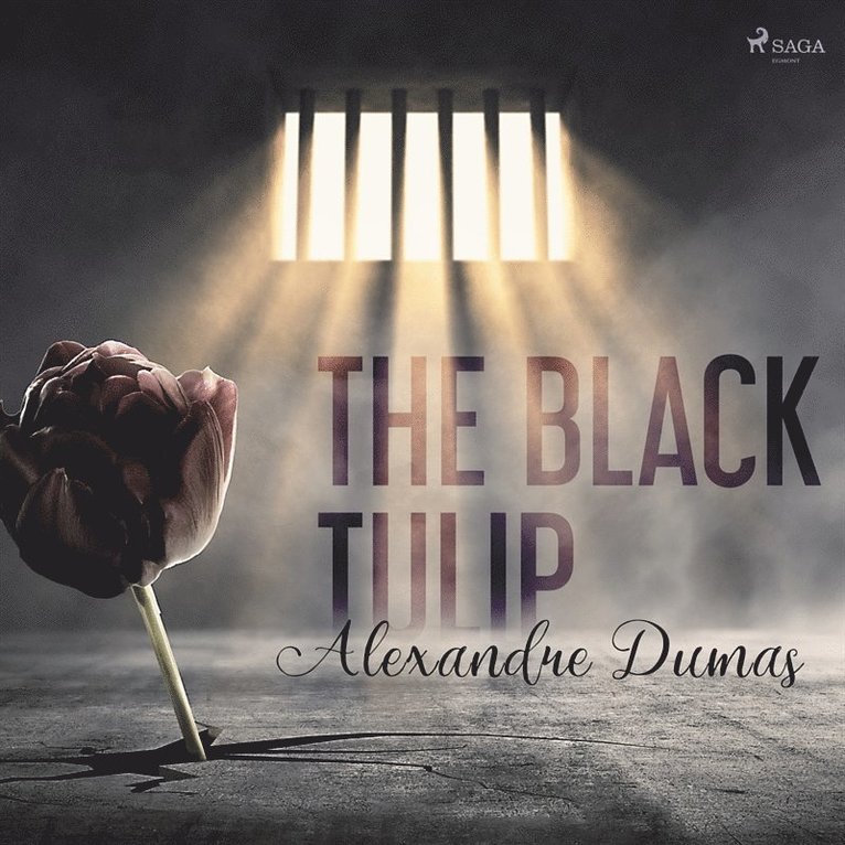 Alexandre Dumas - The Black Tulip, Ljudbok