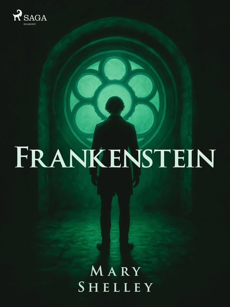 Mary Shelley - Frankenstein or The modern Prometheus, E-bok