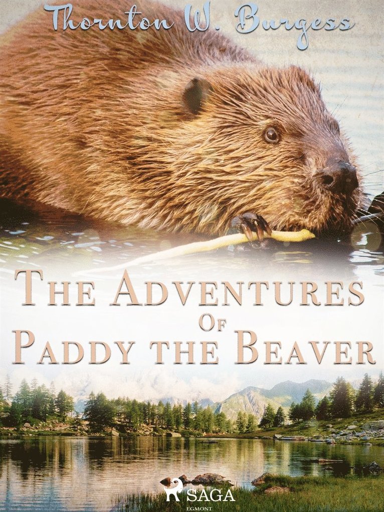 Thornton W. Burgess - The adventures of Paddy the Beaver, E-bok