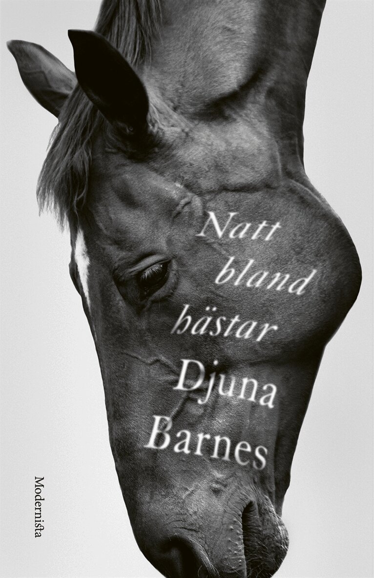 Djuna Barnes - Natt bland hästar, E-bok