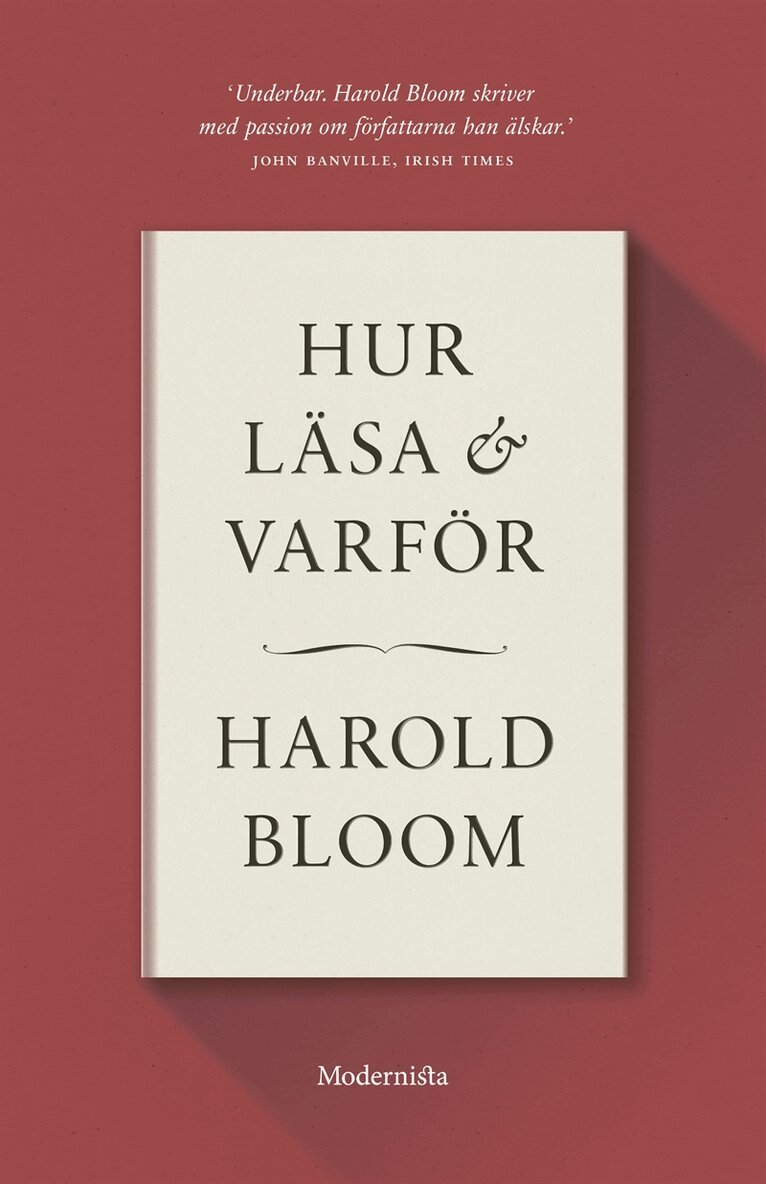 Harold Bloom - Hur läsa och varför, E-bok