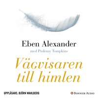 e-Bok Vägvisaren till himlen  hur vetenskap, religion och vanliga människor påvisar att det finns ett liv efter döden <br />                        Ljudbok