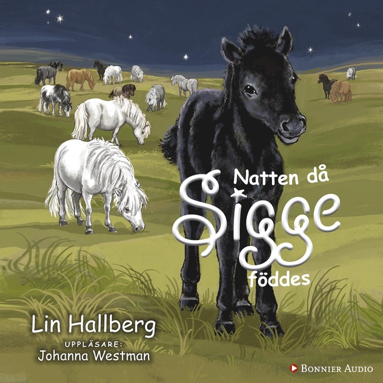 Lin Hallberg - Natten då Sigge föddes, Ljudbok