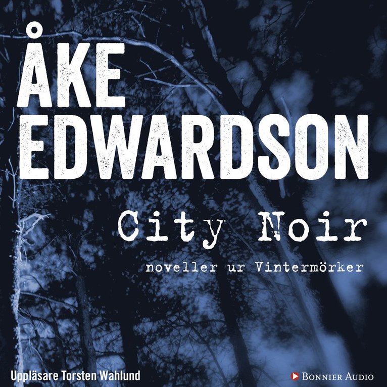 Åke Edwardson - City Noir : noveller ur Vintermörker, Ljudbok