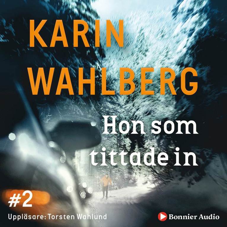 Karin Wahlberg - Hon som tittade in, Ljudbok