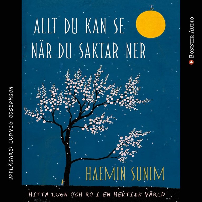 Haemin Sunim - Allt du kan se när du saktar ner : hitta lugn och ro i en hektisk värld, Ljudbok