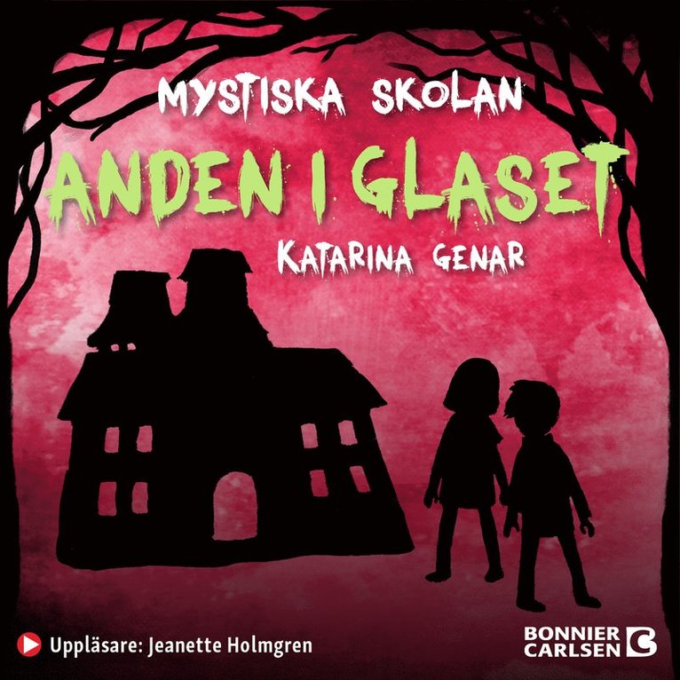 Katarina Genar - Anden i glaset, Ljudbok