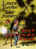 Det lysande ögat
