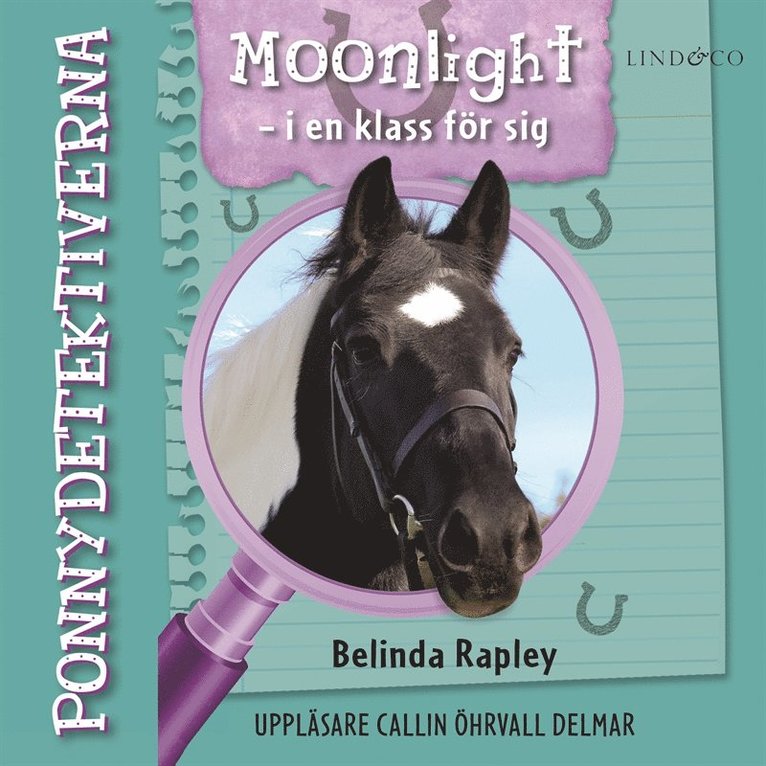 Belinda Rapley - Ponnydetektiverna. Moonlight - i en klass för sig, Ljudbok