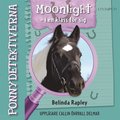 Ponnydetektiverna. Moonlight - i en klass för sig