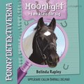 Ponnydetektiverna. Moonlight - i en klass fr sig