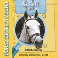 Ponnydetektiverna. Scout - bara till lns