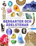 Stora boken om bergarter och delstenar : och andra av naturens skatter