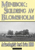 Minibok: Skildring av Blomsholms fornminnen r 1910