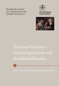 Finansiella kriser - betalningssystem och skuldförhållanden