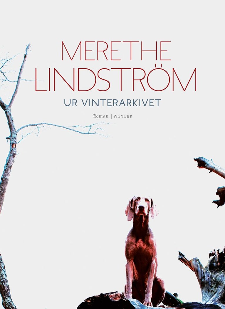 Merethe Lindström - Ur vinterarkivet, E-bok