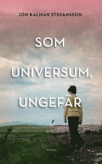 Som universum, ungefr : en slktroman