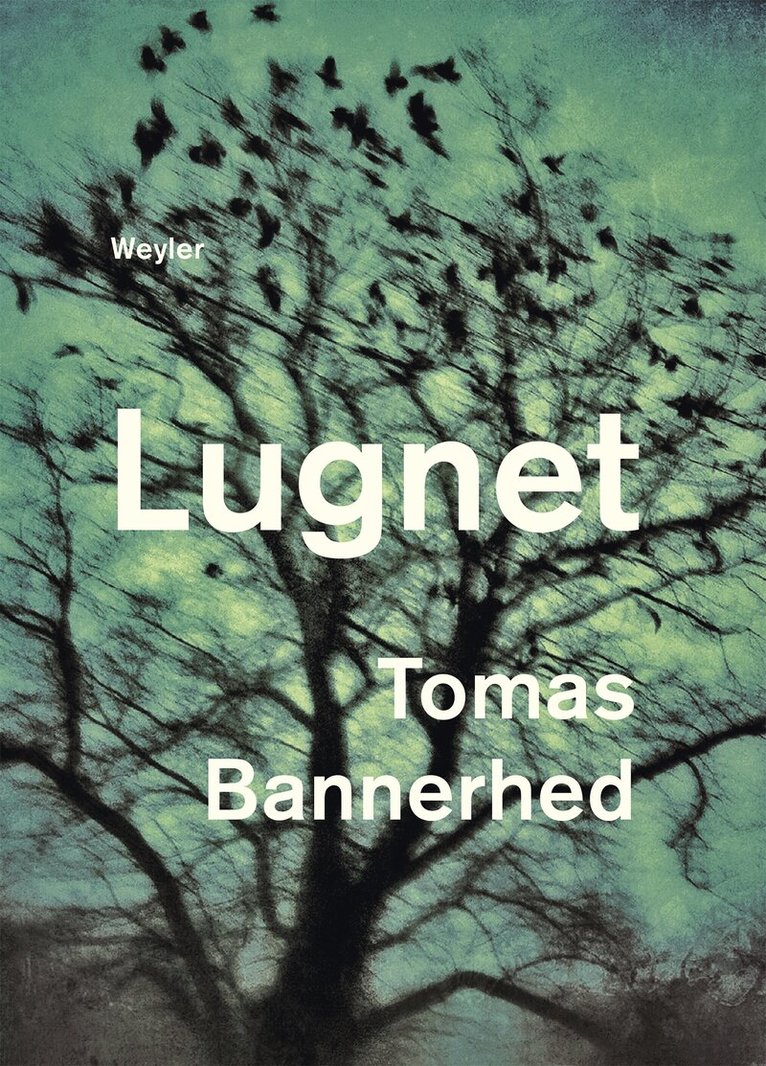 Tomas Bannerhed - Lugnet, E-bok