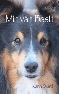 e-Bok Min vän Basti