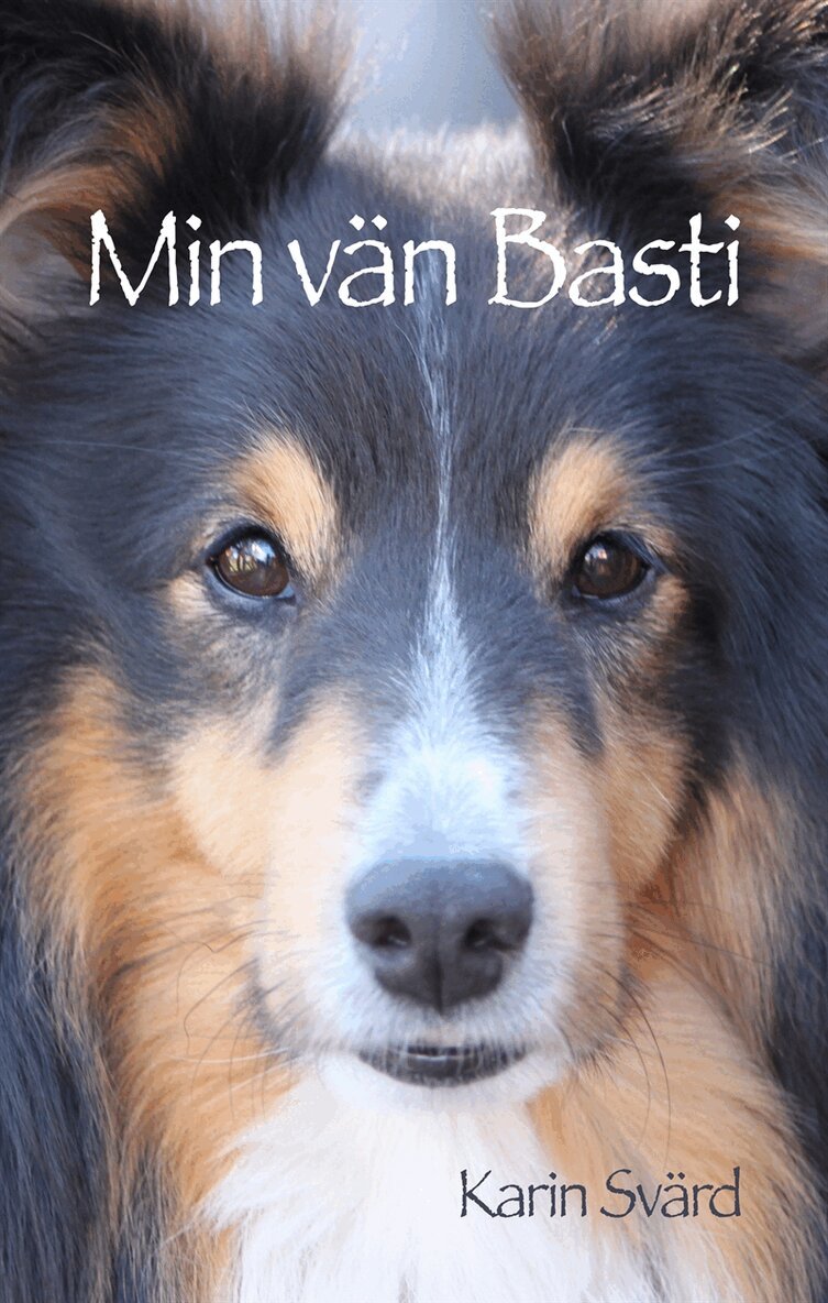 Karin Svärd - Min vän Basti, E-bok
