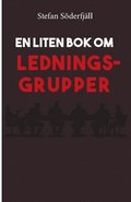 En liten bok om ledningsgrupper