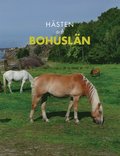 Hästen och Bohuslän