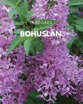 Trdgrd i Bohusln