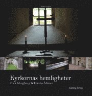 Ewa Klingberg - Kyrkornas hemligheter : södra Sverige, Inbunden